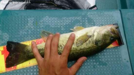 �֥�å��Х�