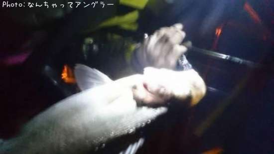 �����Х�