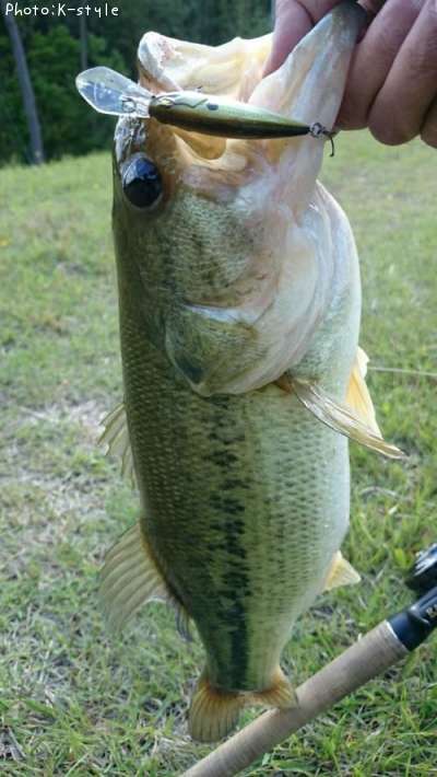 �֥�å��Х�