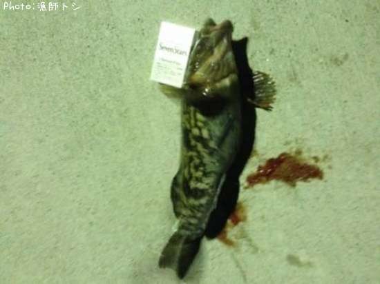 �����ʥ�