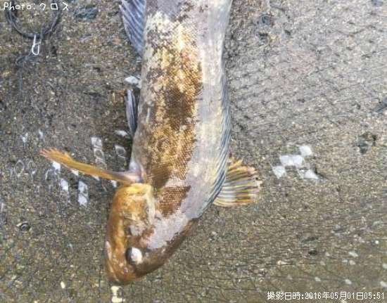 �����ʥ�