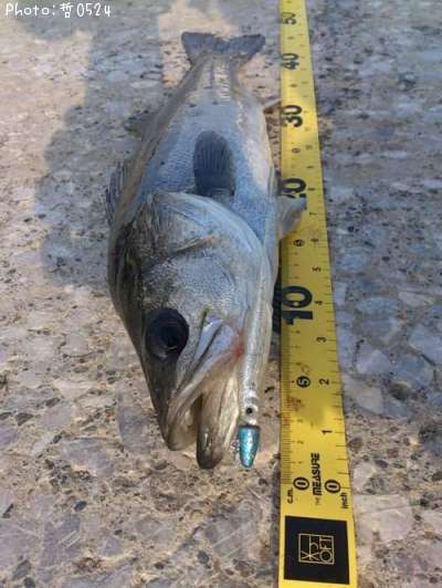 �����Х�