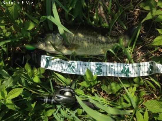 �֥�å��Х�