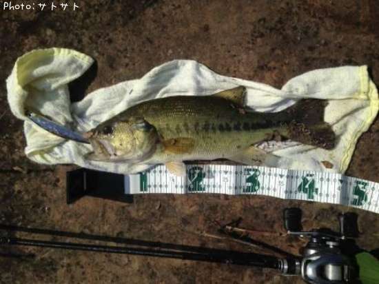 �֥�å��Х�