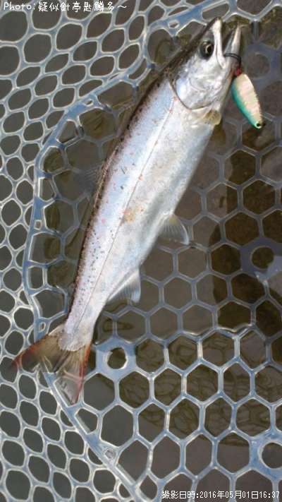 ���ĥ��ޥ�