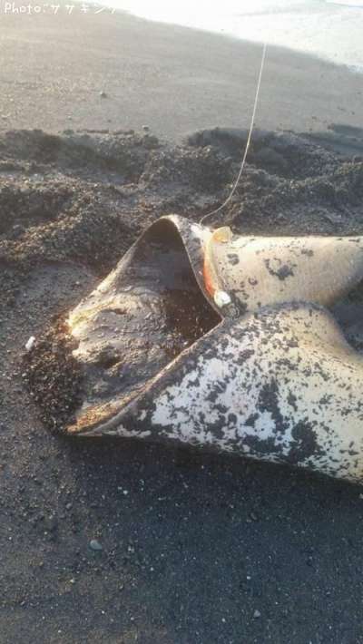 �ĥХ�������