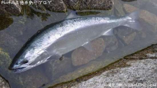 ������ޥ�