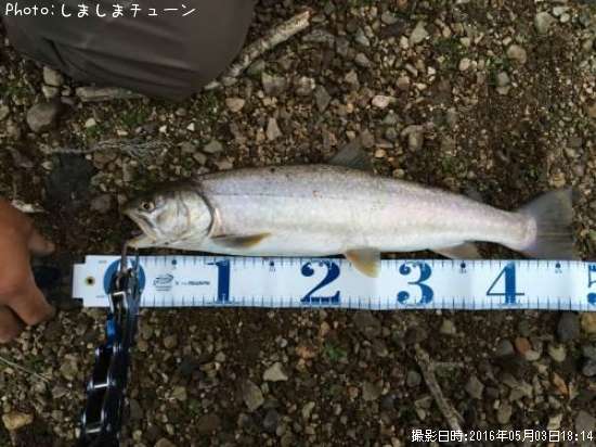 ������ޥ�