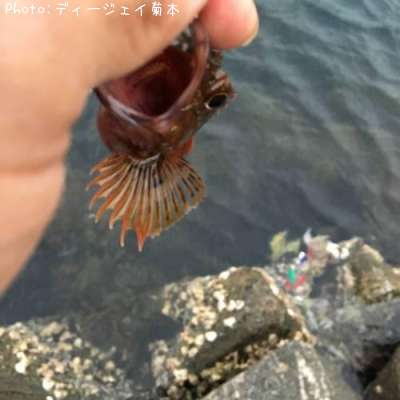 �����ϥ�