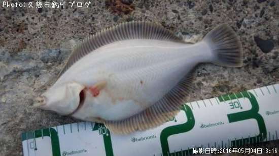 �ޥ����쥤