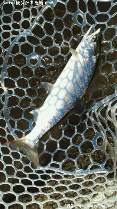 ���ĥ��ޥ�