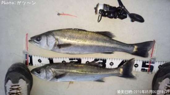 �����Х�