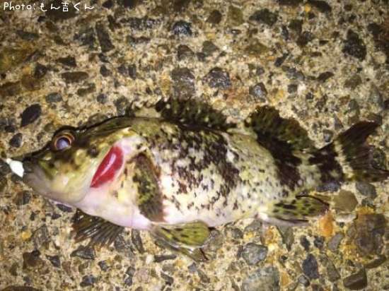 �����Υ���Х�