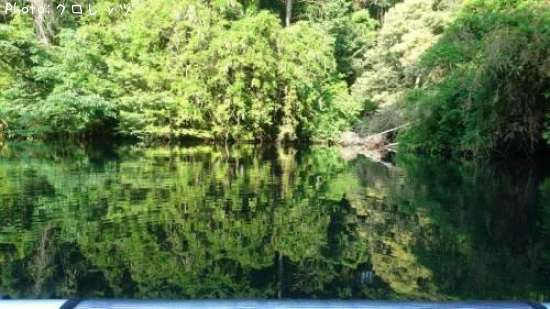 �֥�å��Х�