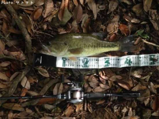 �֥�å��Х�