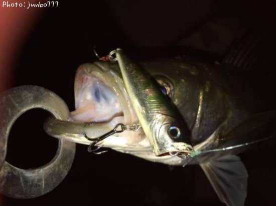 �����Х�