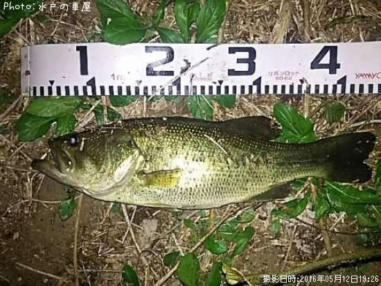 �֥�å��Х�