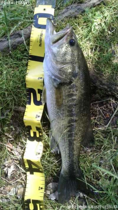 �֥�å��Х�