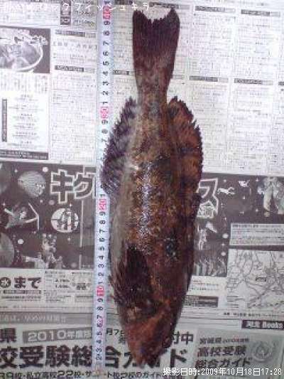 �����ʤ�