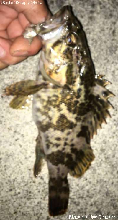 �����Υ���Х�