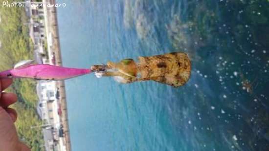 �����ꥤ��