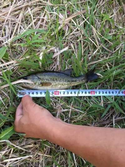 �֥�å��Х�