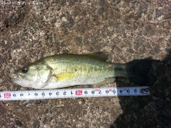 �֥�å��Х�