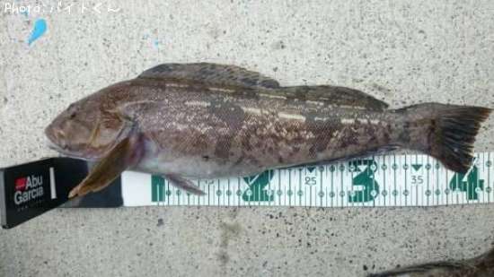 �����ʥ�