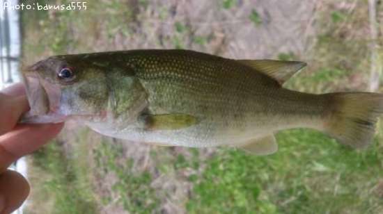 �֥�å��Х�