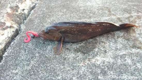 �����ʥ�