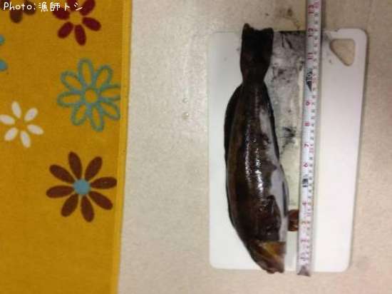 �����ʥ�