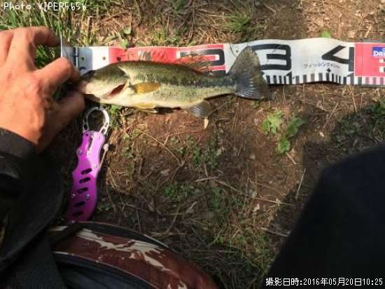 �֥�å��Х�