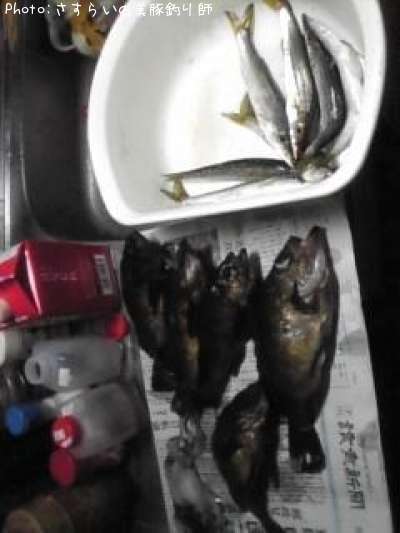 ��Х롡���ޥ�