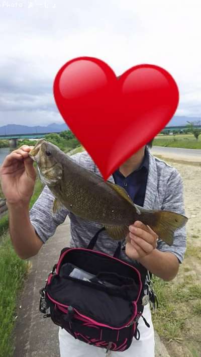 �֥�å��Х�