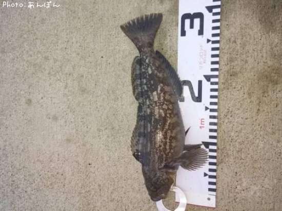 �����ʥ�