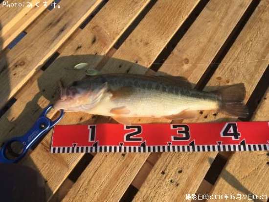 �֥�å��Х�