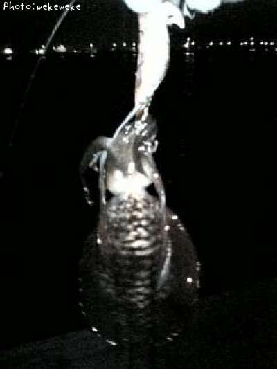 �����ꥤ��