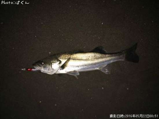 �����Х�