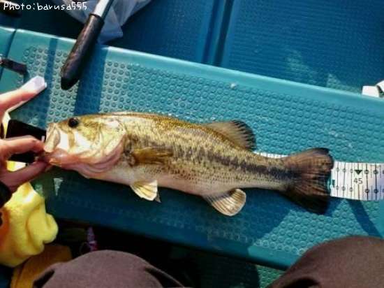 �֥�å��Х�