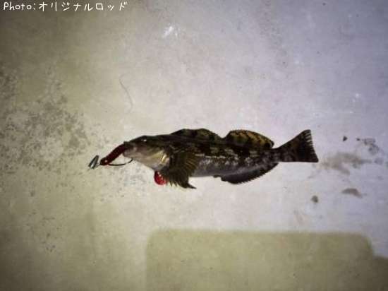 �����ʥ�