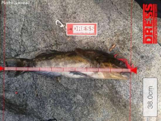 �����ʥ�