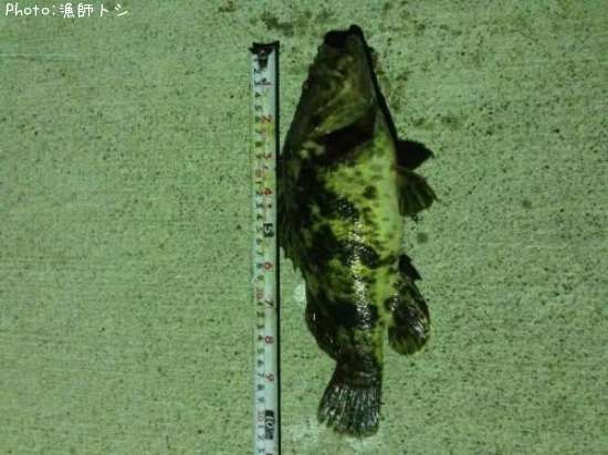 �����Υ���Х�