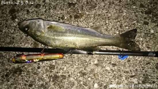 �����Х�