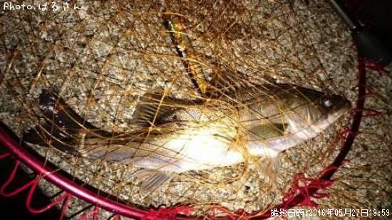 �����Х�