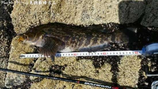 �����ʥ�