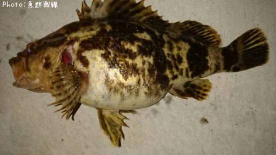 �����Υ���Х�ʥ٥å���������