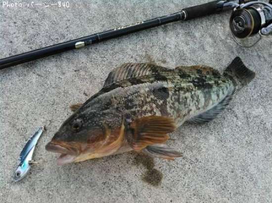 �����ʥ�