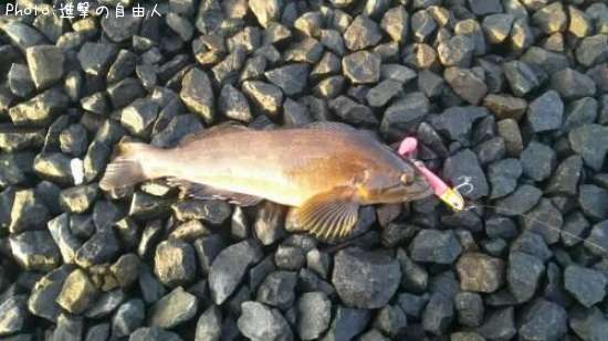 �����ʥ�