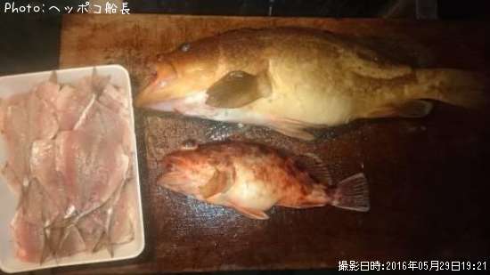 �����ϥ���������������