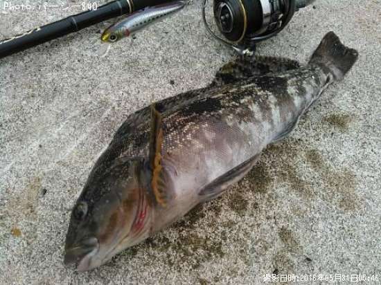 �����ʥ�